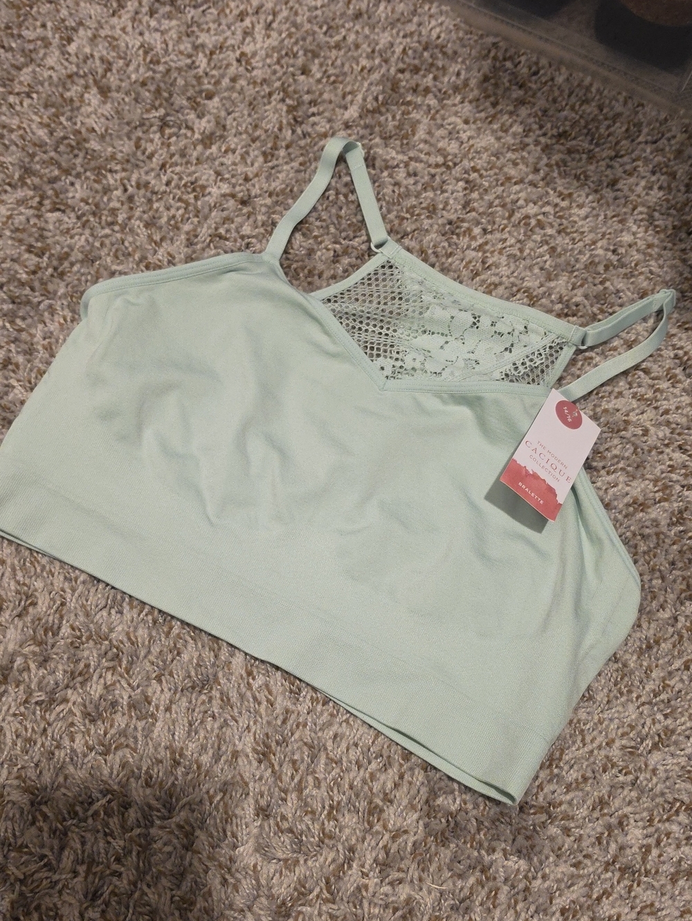Cacique Lace-Trim Bralette in Mint